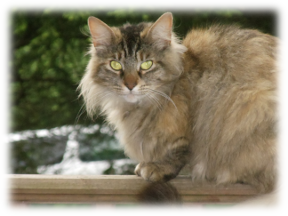 Photo of Lizzy