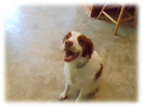Photo of Hunter