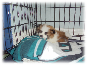 Photo of Remie