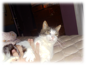 Photo of Nyla