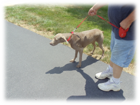 Photo of Maggie