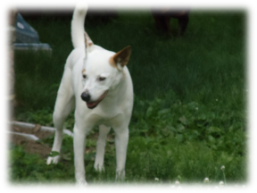 Photo of Molly
