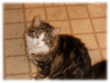 Photo of Sasha