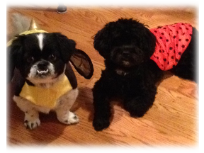 Photo of Zoe and Stella