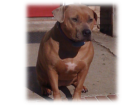 Photo of Rosey