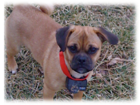 Photo of Zoe