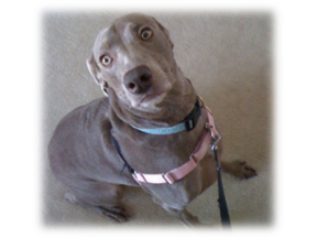 Photo of Maggie