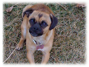 Photo of Sasha