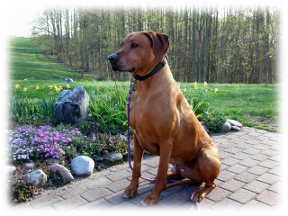 Photo of Kumba