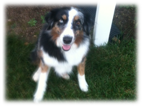 Photo of Chi